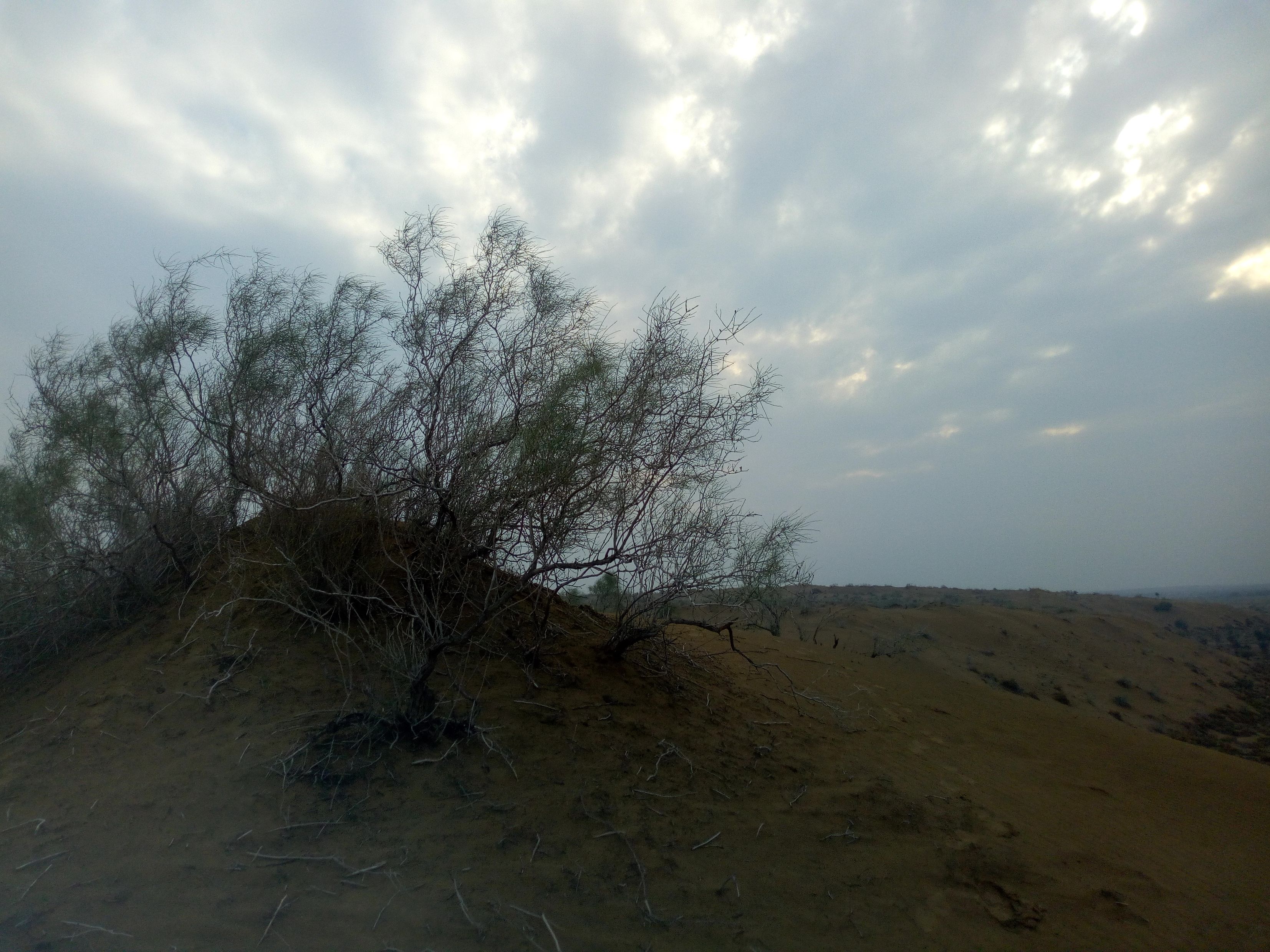 रेगिस्तान की जगह इस साल समुद्री जलवायु सा मौसम