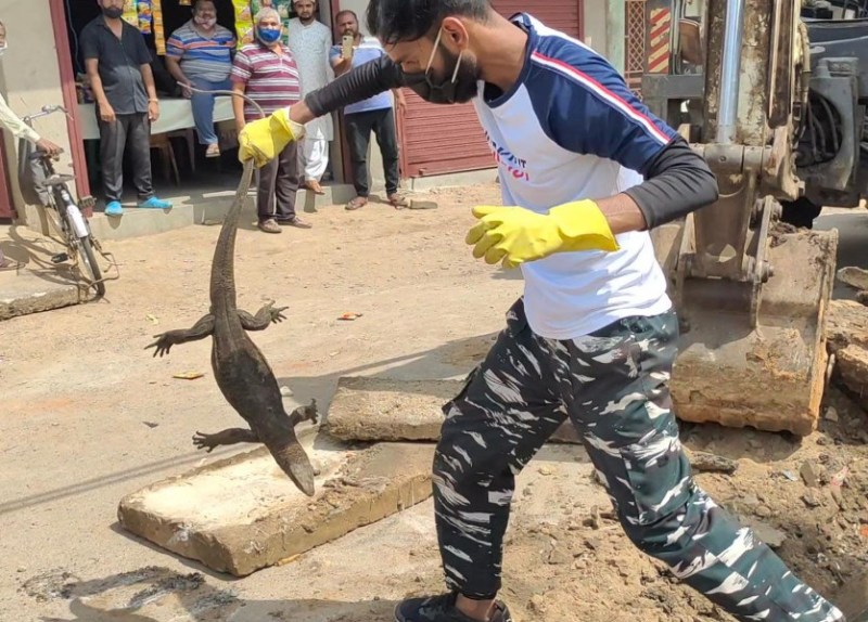 Snakeman Satyam resque