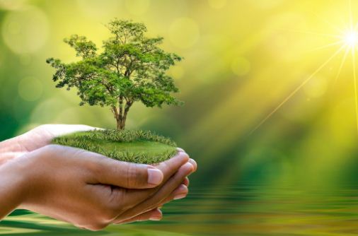 World Environment Day 2021 know whath is the theme of this year how important in covid pandemic