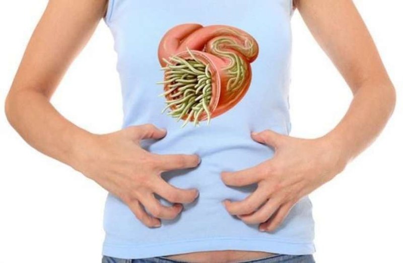 Stomach Worms