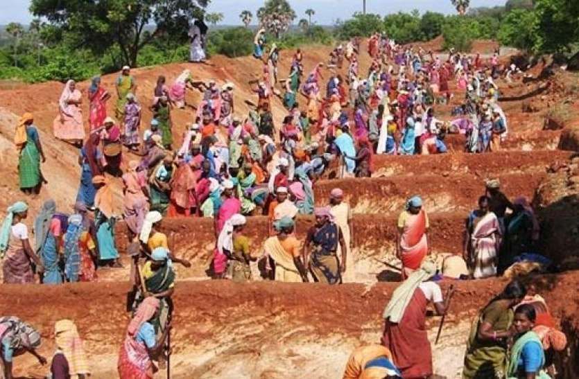  Corona's downfall, workers cross eight thousand in MNREGA in the first fortnight