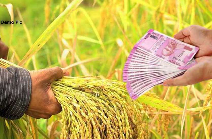 Rajasthan Farmers will get benefit of crop loan