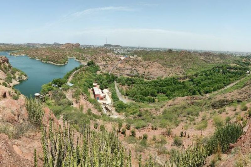 पर्यावरण दिवस पर 'हर घर -एक पेड़ अभियान की होगी शुरुआत