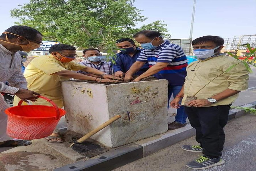 विश्व पर्यावरण दिवस पर जगह-जगह होंगे पौधरोपण
