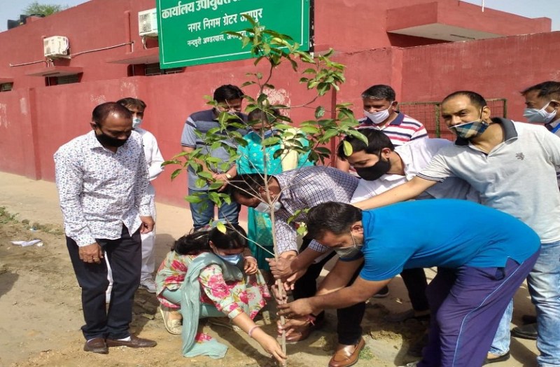 विश्व पर्यावरण दिवस पर पौधा रोपते हुए।