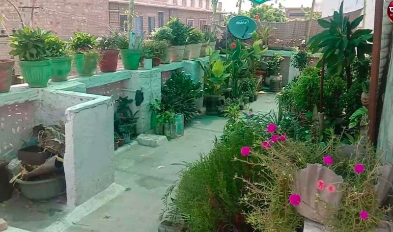 कोरोना ने बढ़ाया पर्यावरण के प्रति रुझान, घरों में वाटिकाएं और पौधरोपण पर जोर