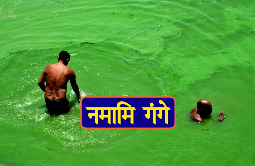 algae in ganga river