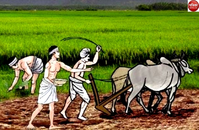 Agriculture officers gave advice to farmers