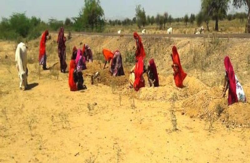 मनरेगा में श्रमिक नियोजन में बाड़मेर प्रदेश में अव्वल