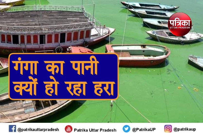 Investigation Committee Important Disclosure On Green Water Of Ganga