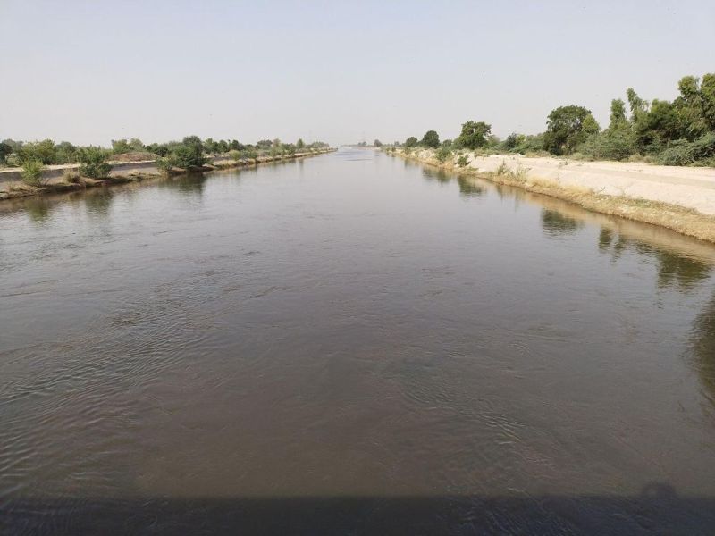 इंदिरागांधी नहर में प्रवाहित पानी कितना प्रदूषित, जयपुर लैब में चलेगा पता