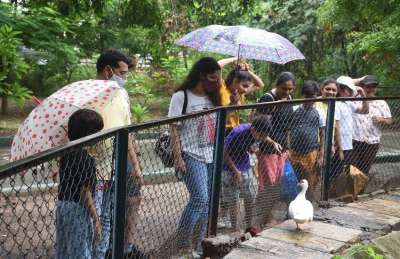 Short video poster image