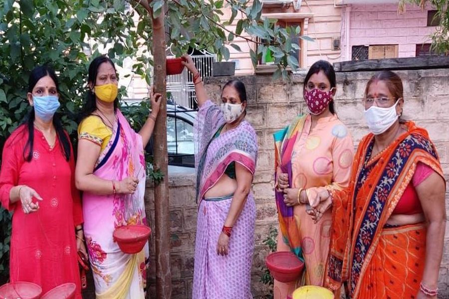 आईबीएफ की महिला शाखा ने लगाए परिण्डे