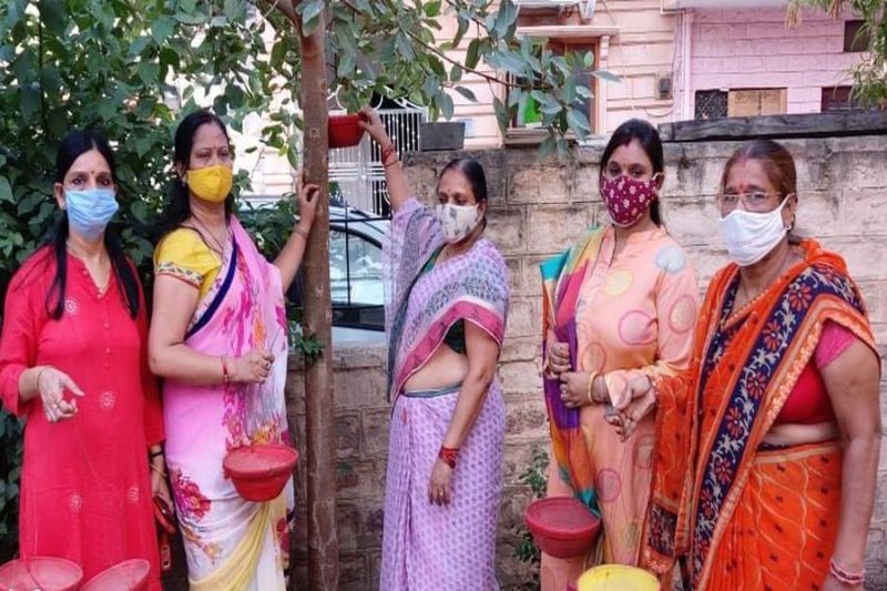 आईबीएफ की महिला शाखा ने लगाए परिण्डे