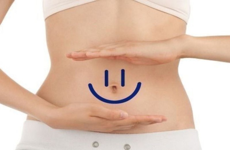 Stomach and intestine 