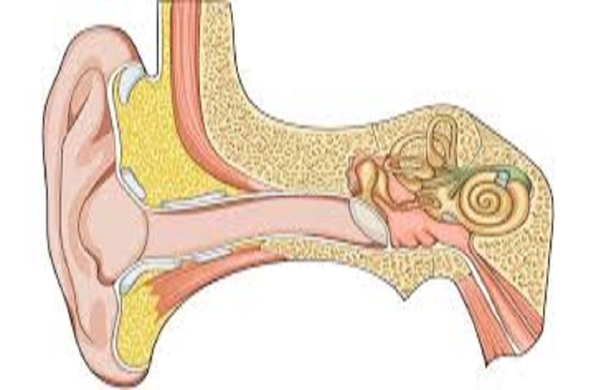कान में पानी जाने से होता ज्यादा संक्रमण, छेद भी हो सकता
