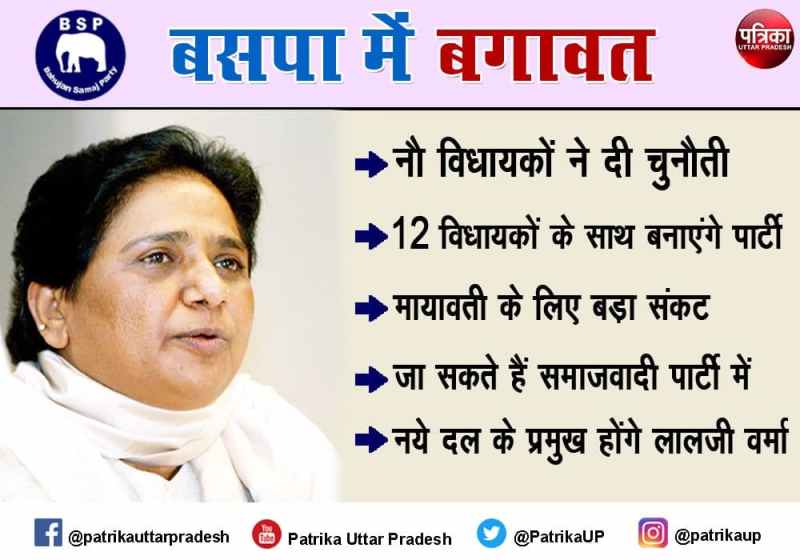 rebel BSP mla will form political party says mla alam raini