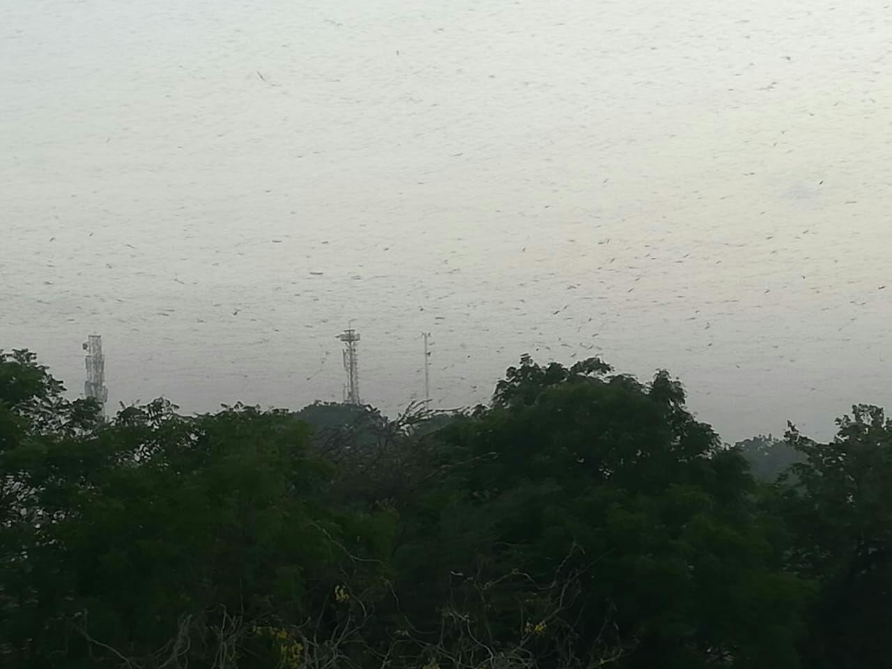 जयपुर में तेज हवा और धूल भरी आंधी