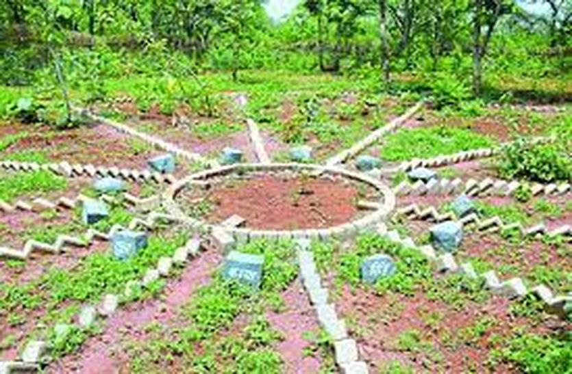 48 nutrition gardens will be developed at Anganwadi centers