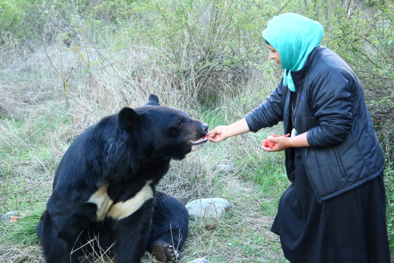 मिलिए कश्मीर की पहली महिला वन्य जीव संरक्षक आलिआ मीर से