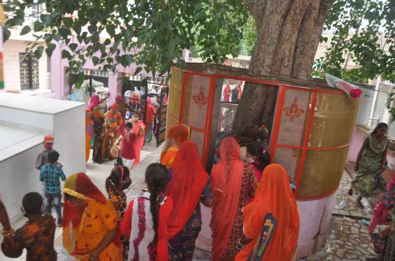 श्रद्धा के साथ मनाई निर्जला एकादशी