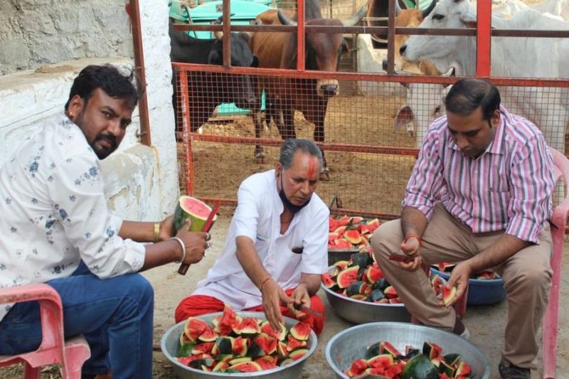 दान-पुण्य कर श्रद्धा से मनाई निर्जला एकादशी