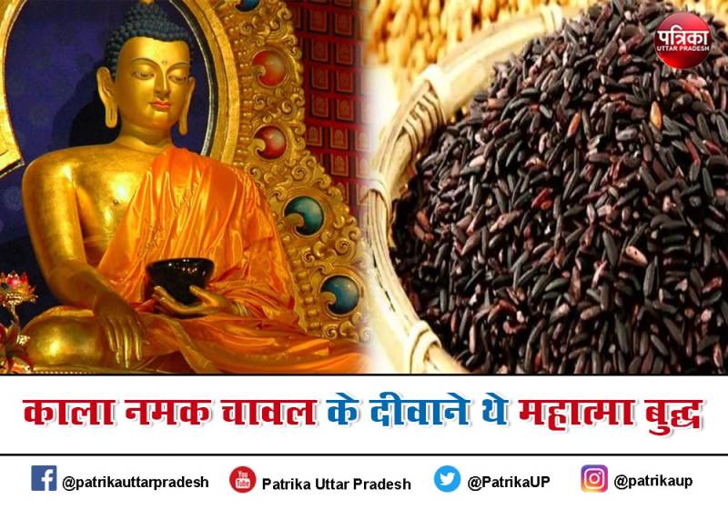 काला नमक चावल के दीवाने थे महात्मा बुद्ध, अब फ्लिपकार्ट पर मिलेगा काला नमक चावल, किसान होंगे मालामाल