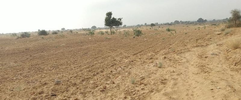 आखातीज पर जगी उम्मीद, अब बारिश के इंतजार में उड़ी नींद