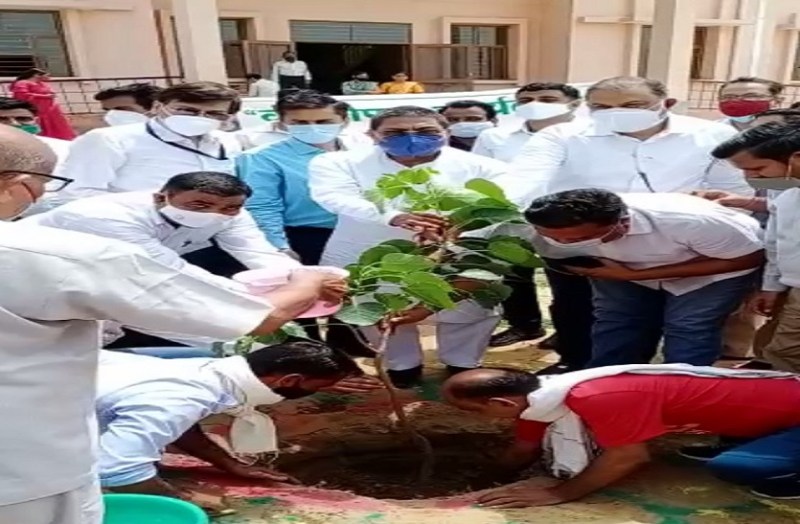 स्वयंसिद्धा परिसर में किया पौधरोपण