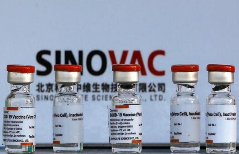 sinovac.jpg