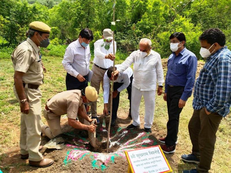 वन मंत्री विश्नोई उदयपुर में पौधरोपण करते हुए।