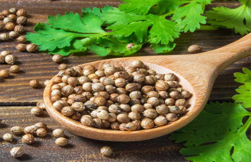 Ayurveda Treatments