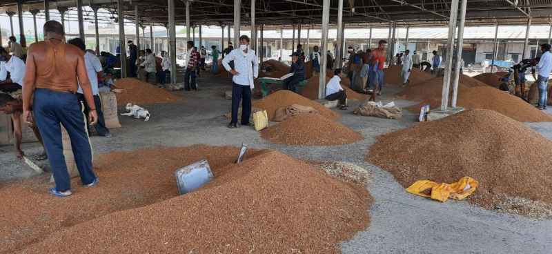 Chana not sold on support price, now prices also fell in the market