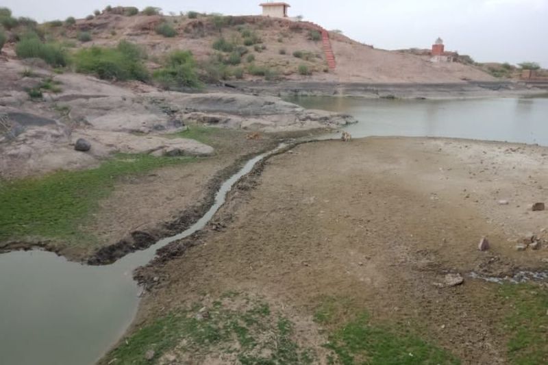 जलीय पक्षियों पर छाया दोहरा संकट