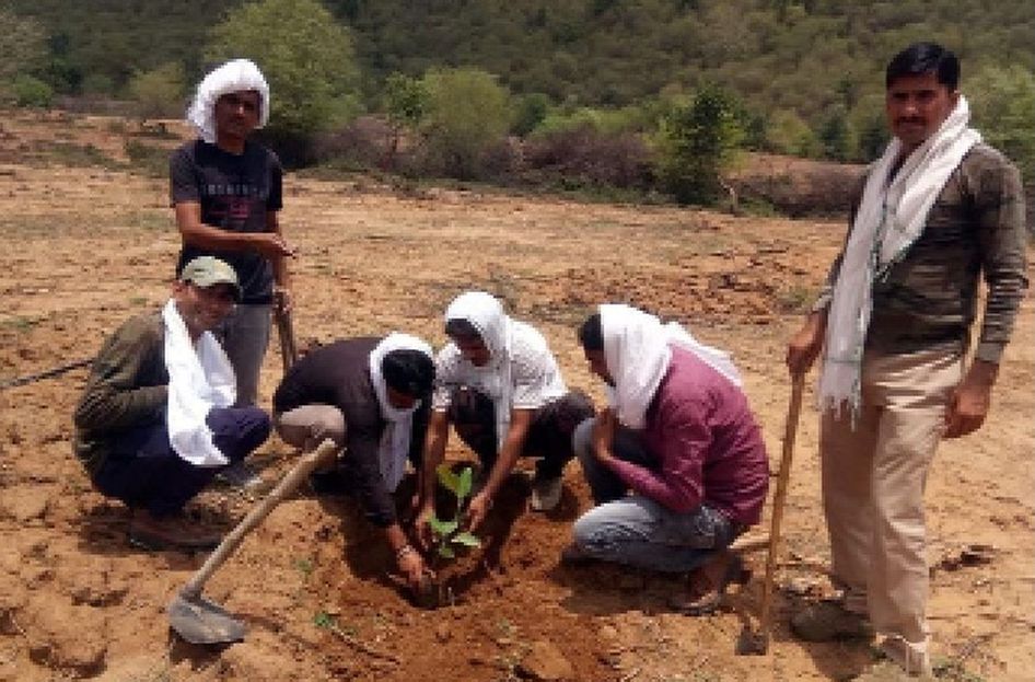 लोगों के सहयोग से रामगढ़ को हरा-भरा करने में जुटे वनकर्मी