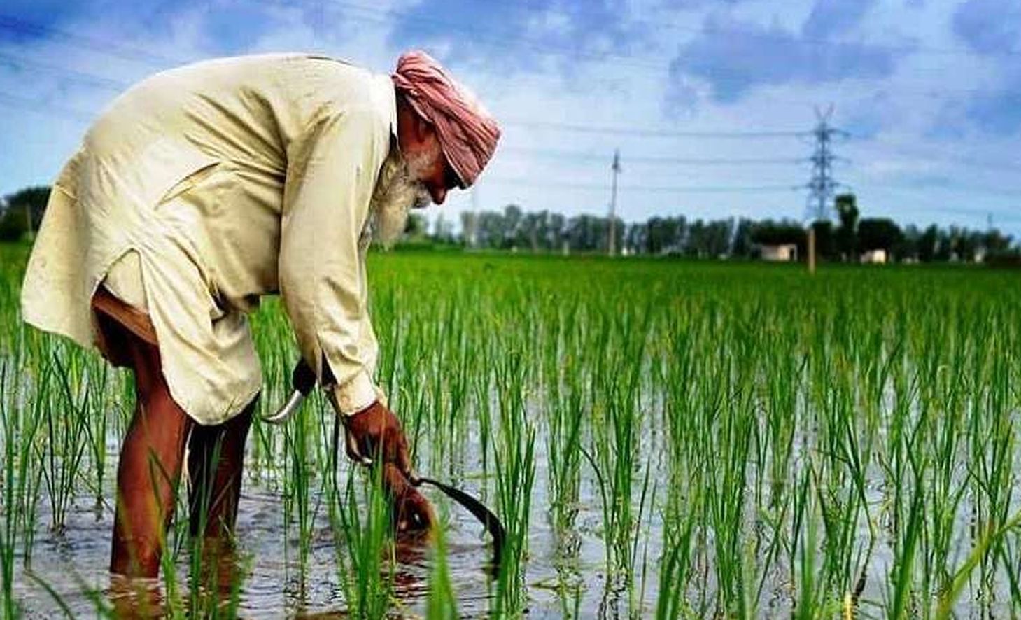 पानी के इंतजार में धान बिजाई, घग्घर नदी में पानी की आवक नहीं होने से बिजाई कार्य हो रहा प्रभावित