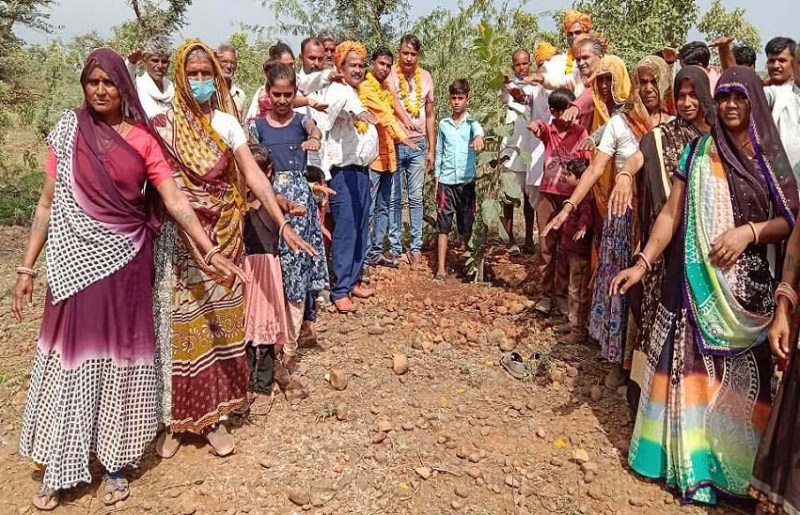 तीन हजार बीघा में 20 हजार पौधे लगाए