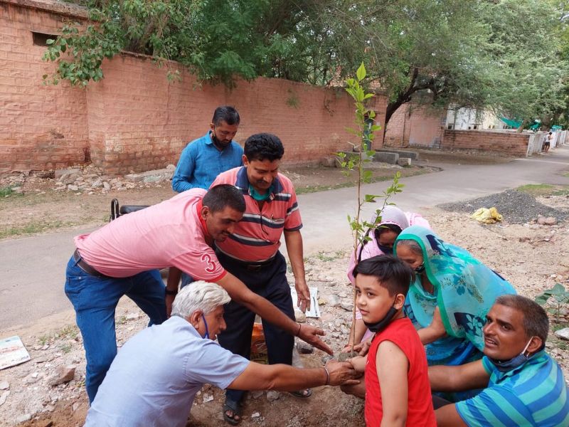 पांच वर्षों में पौधों ने लिया पेड़ों का रूप