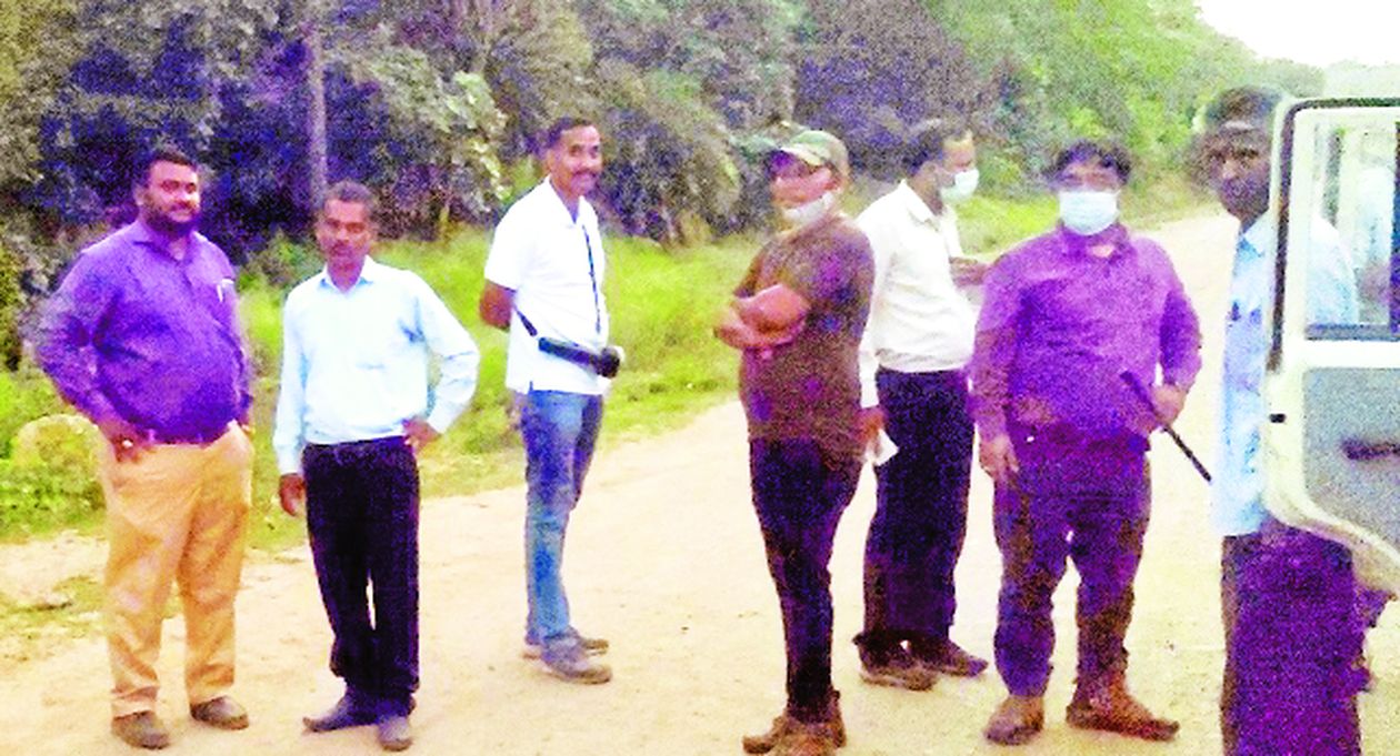 To catch the panther, 8 cages, 11 cameras, installed two drones