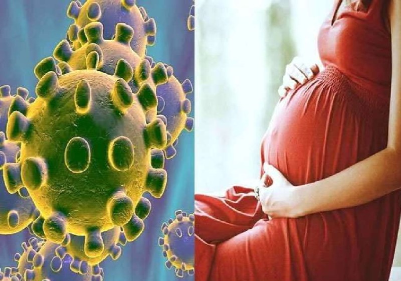 हाई ब्लड प्रेशर और मोटापा से पीड़ित गर्भवती को कोविड संक्रमण का ज्यादा खतरा, जानें कैसे करें बचाव