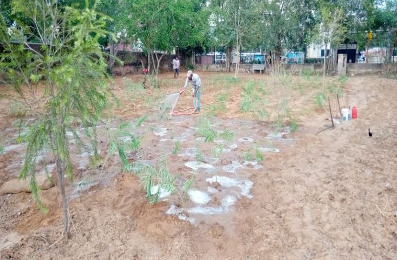 ऑक्सीजोन विकसित करने के लिए जेडीए अपना रहा जापानी पद्धति