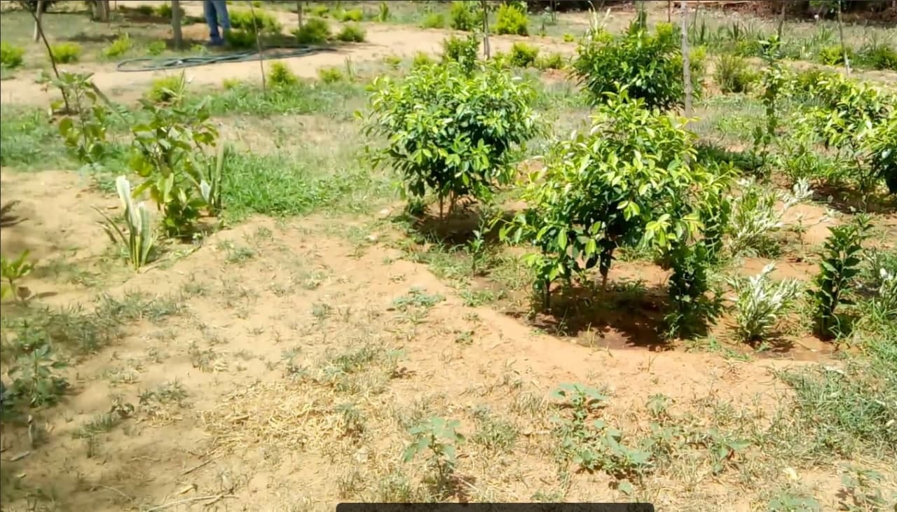 शिक्षकों ने मिलकर बदली स्कूल की दशा
