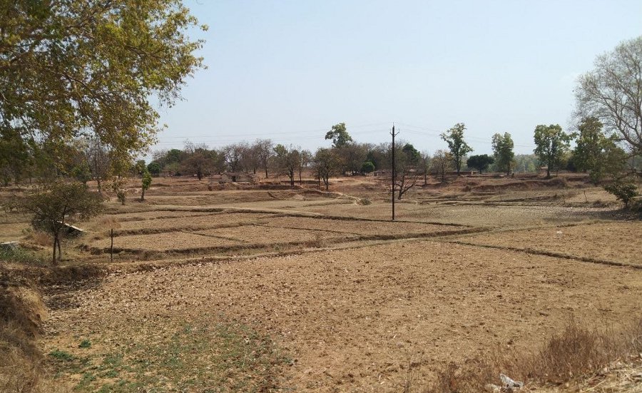 Even half beneficiaries could not get forest rights lease in Singrauli