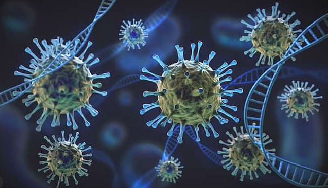 Black Fungus infection in Jaw after Eye and brain