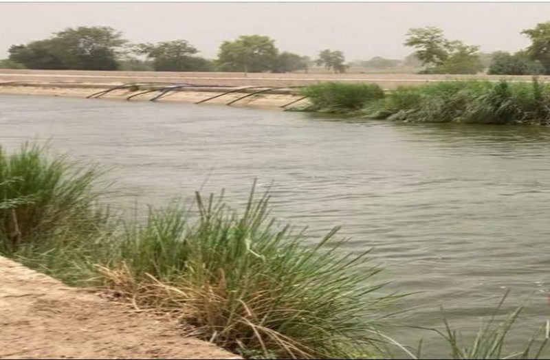 गंगनहर में ना पूरा सिंचाई पानी मिला,ना पानी चोरी पर कार्रवाई हुई
