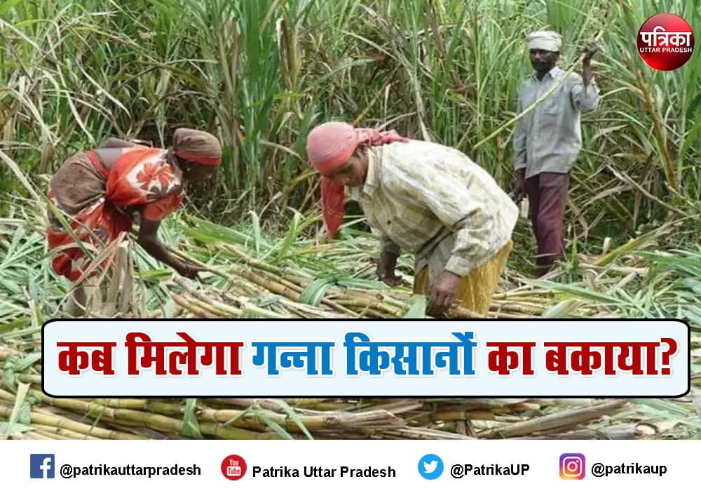 High Court seeks up govt reply on sugarcane farmers dues 