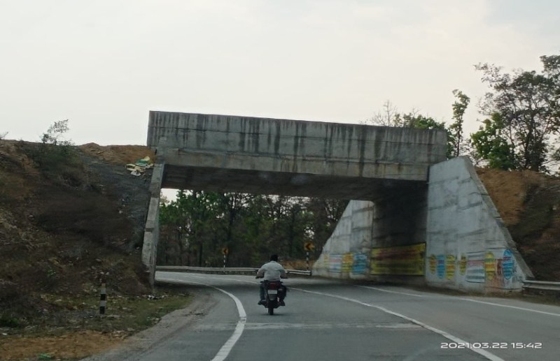 हाथियों के लिए हाइवे में पहली बार बने दो अंडरपास, दो साल में एक बंदर भी नहीं गुजरा