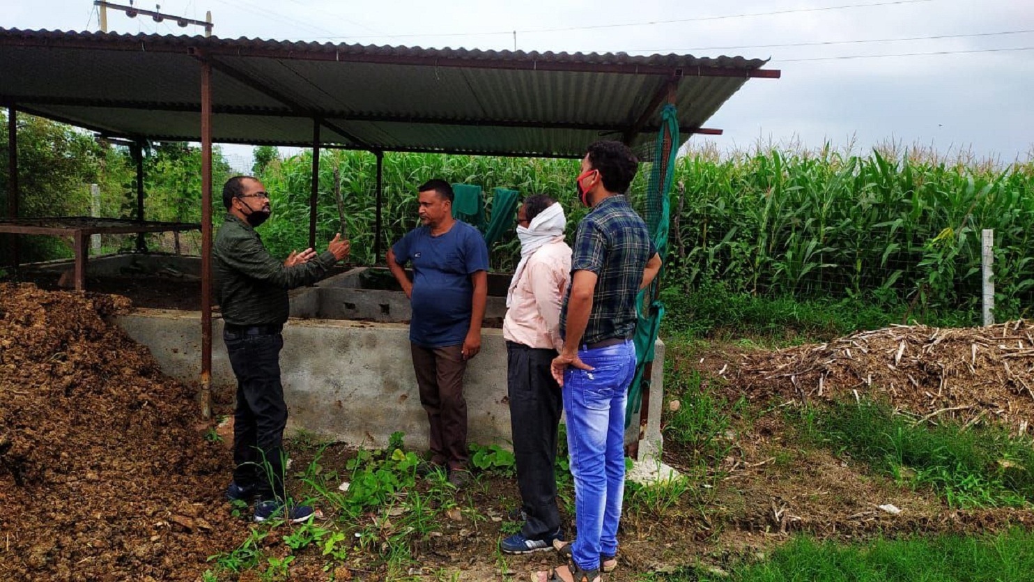 बदलाव : पारंपरिक खेती में लगातार हो रहे घाटे से जैविक खेती की ओर बढ़ रहा किसान