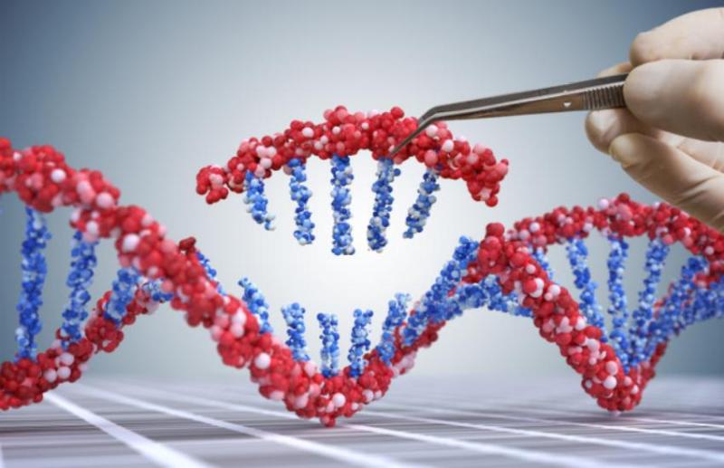 gene_editing.jpg