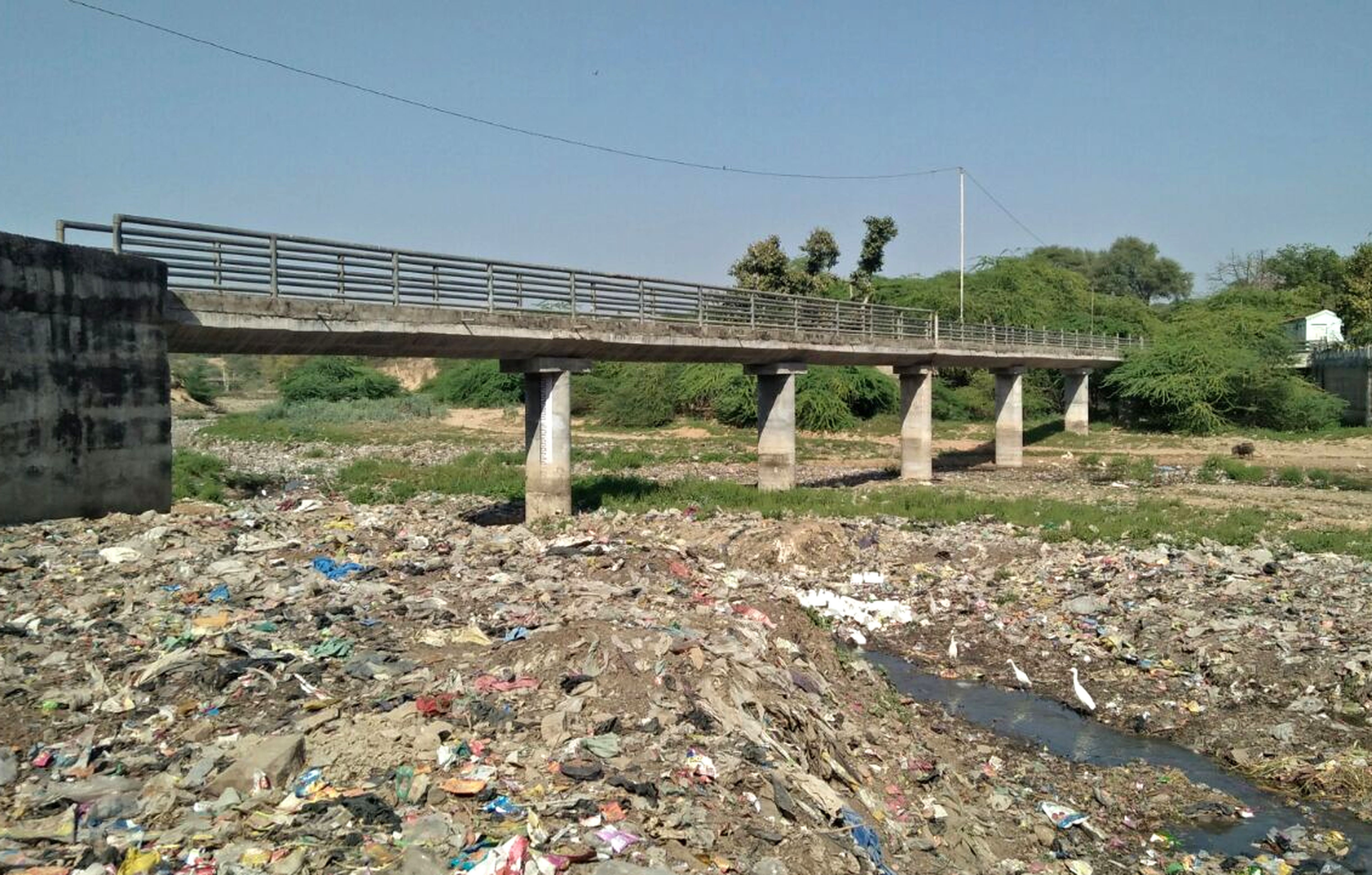 करौली की भद्रावती नदी के तटों पर छाएगी हरियाली
